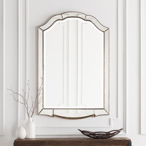 Surya Oleander OND-2500 48"H x 32"W x 1"D Mirror