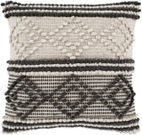 Surya Anders ADR-002 20"H x 20"W Pillow Cover