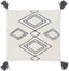 Surya Braith BRH-001 20"H x 20"W Pillow Cover