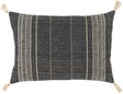 Surya Dashing DSG-004 16"H x 24"W Pillow Cover