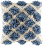 Surya Edric EDR-002 22"H x 22"W Pillow Cover