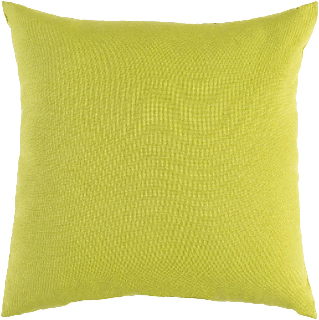 Surya Essien EI-005 13"H x 19"W Pillow Cover