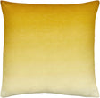 Surya Hyrum HYR-007 22"H x 22"W Pillow Cover