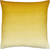 Surya Hyrum HYR-007 22"H x 22"W Pillow Cover