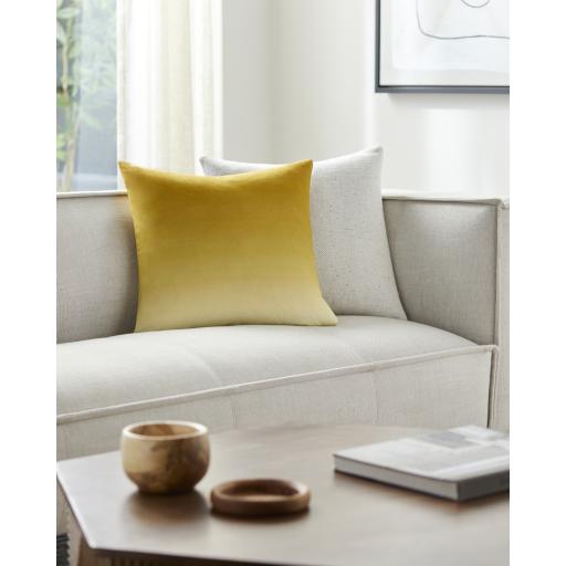 Surya Hyrum HYR-007 22"H x 22"W Pillow Cover
