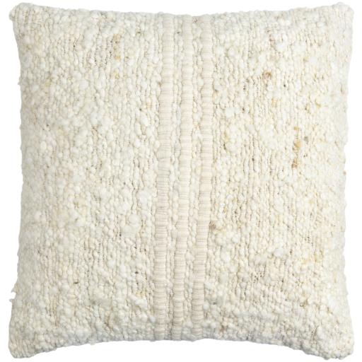 Surya Neutral NEU-001 22"H x 22"W Pillow Cover