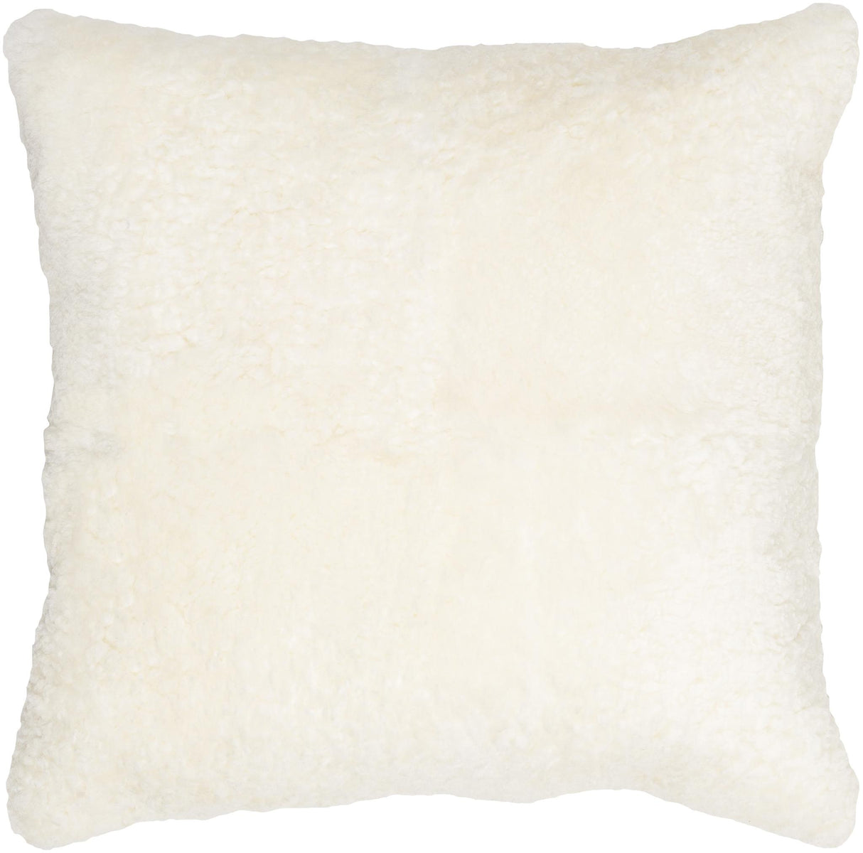 Surya Northland NND-001 20"H x 20"W Pillow Cover