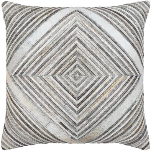 Surya Zander ZND-007 20"H x 20"W Pillow Cover