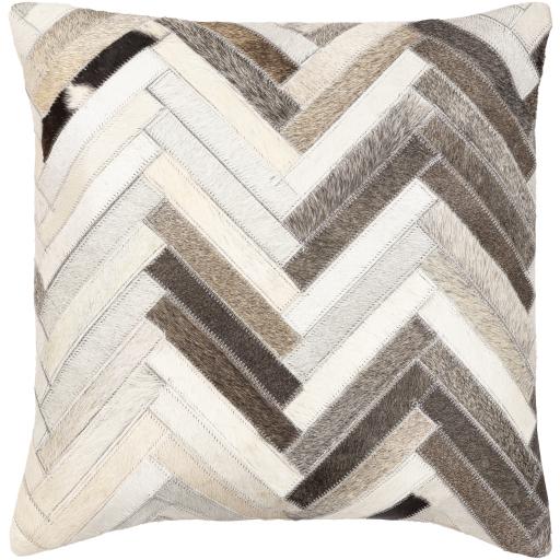 Surya Zander ZND-009 20"H x 20"W Pillow Cover