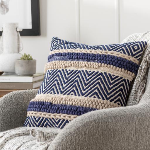 Surya Avalon AAN-001 18"H x 18"W Pillow Kit