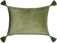 Surya Cotton Velvet CV-046 13"H x 19"W Pillow Kit