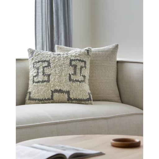 Surya Figuration FIG-001 Cream Gray 20"H x 20"W Pillow Kit