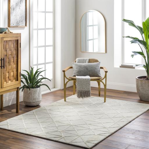 Surya Addison ADD-2302 2' x 3' Rug