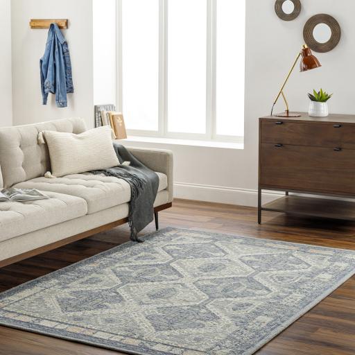 Surya Addyson AYO-2301 2' x 3' Rug