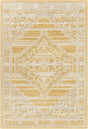 Surya Addyson AYO-2302 2' x 3' Rug