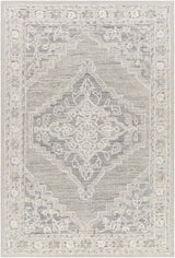 Surya Addyson AYO-2303 2' x 3' Rug