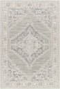 Surya Addyson AYO-2303 2' x 3' Rug