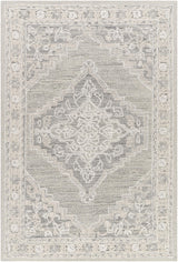 Surya Addyson AYO-2303 2' x 3' Rug