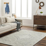 Surya Addyson AYO-2303 2' x 3' Rug
