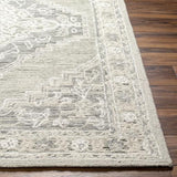 Surya Addyson AYO-2303 2' x 3' Rug