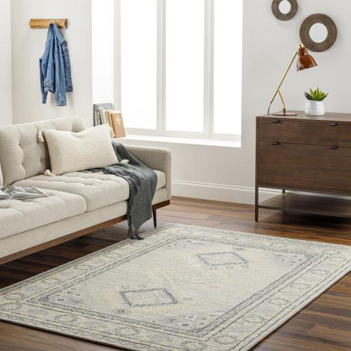 Surya Addyson AYO-2304 2' x 3' Rug