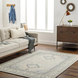 Surya Addyson AYO-2304 2' x 3' Rug