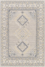 Surya Addyson AYO-2304 9' x 12' Rug
