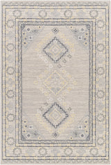 Surya Addyson AYO-2304 9' x 12' Rug