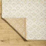 Surya Ahlat AHT-2301 27" x 45" Rug