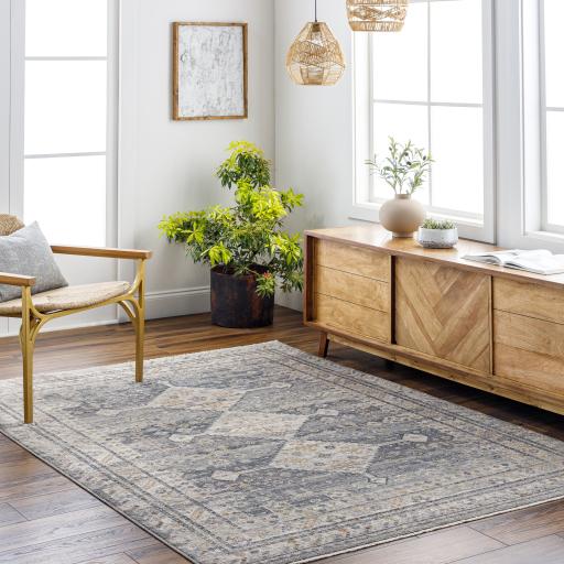 Surya Aida AAD-2305 2' x 2'11" Rug