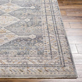 Surya Aida AAD-2305 2' x 2'11" Rug