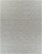 Surya Aiden AEN-1001 10' x 14' Handmade Rug