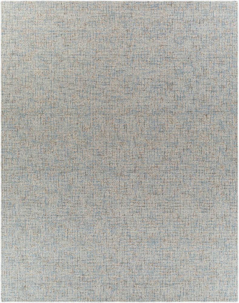 Surya Aiden AEN-1001 Cream;Light Blue 2' x 3' Rug