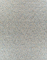 Surya Aiden AEN-1001 Cream;Light Blue 2' x 3' Rug