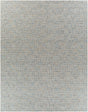 Surya Aiden AEN-1001 Cream;Light Blue 5' x 7'6" Rug