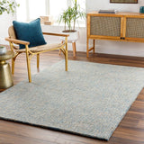 Surya Aiden AEN-1001 Cream;Light Blue 9' x 13' Rug
