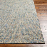 Surya Aiden AEN-1001 Cream;Light Blue 9' x 13' Rug