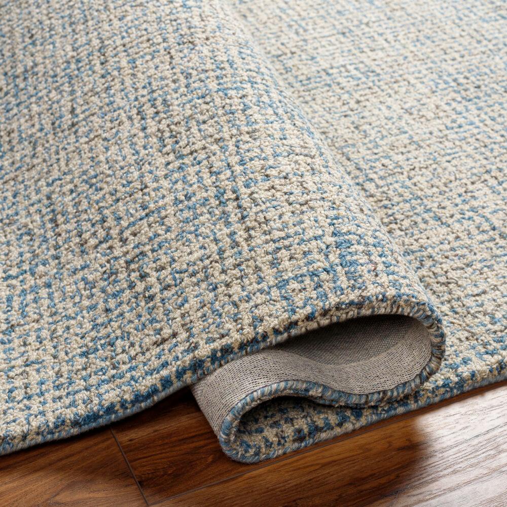 Surya Aiden AEN-1001 Cream;Light Blue 9' x 13' Rug