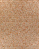 Surya Aiden AEN-1003 2' x 3' Rug