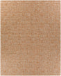Surya Aiden AEN-1003 2' x 3' Rug