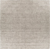 Surya Aiden AEN-1005 2' x 3' Rug
