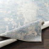 Surya Aisha AIS-2301 2'7" x 5' Rug