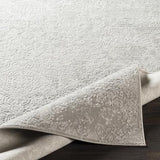 Surya Aisha AIS-2306 2' x 2'11" Rug