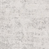 Surya Aisha AIS-2307 2'7" x 7'7" Rug