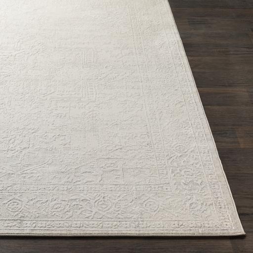 Surya Aisha AIS-2309 Gray Off-White 10' x 14' Rug