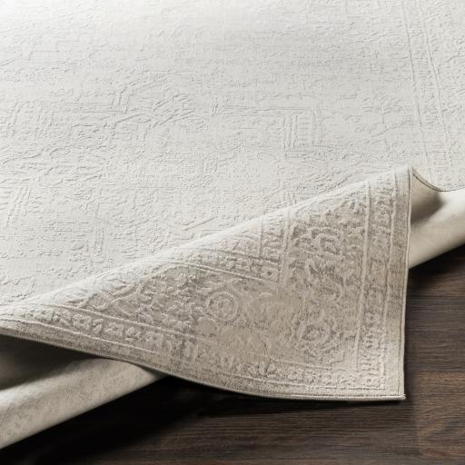 Surya Aisha AIS-2309 10' x 14' Rug