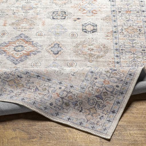 Surya Alanya ALY-2302 6'7" x 9' Rug