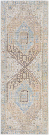 Surya Alanya ALY-2306 2'7" x 7'3" Rug