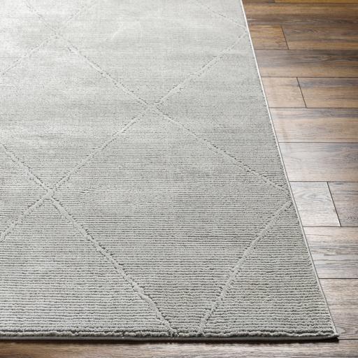 Surya Alder ALD-2303 23" x 45" Rug