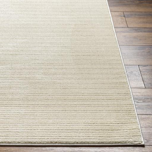 Surya Alder ALD-2306 23" x 45" Rug